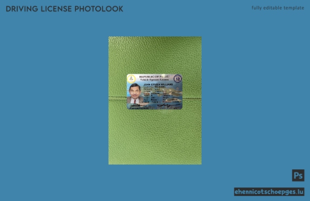 Beispielvorschau für das Seitenfoto des Führerscheins von Palau